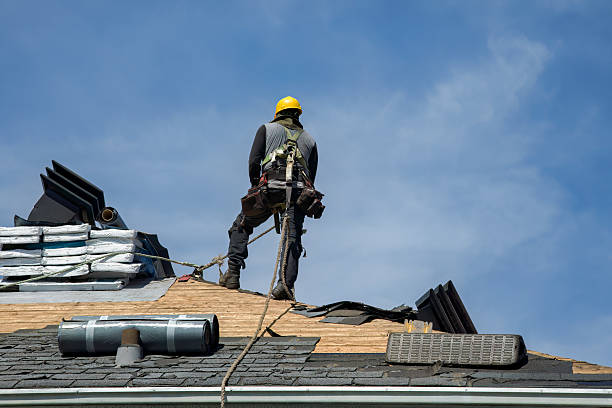 Professional Storm Damage Roof Repair technician working in Webster, SD